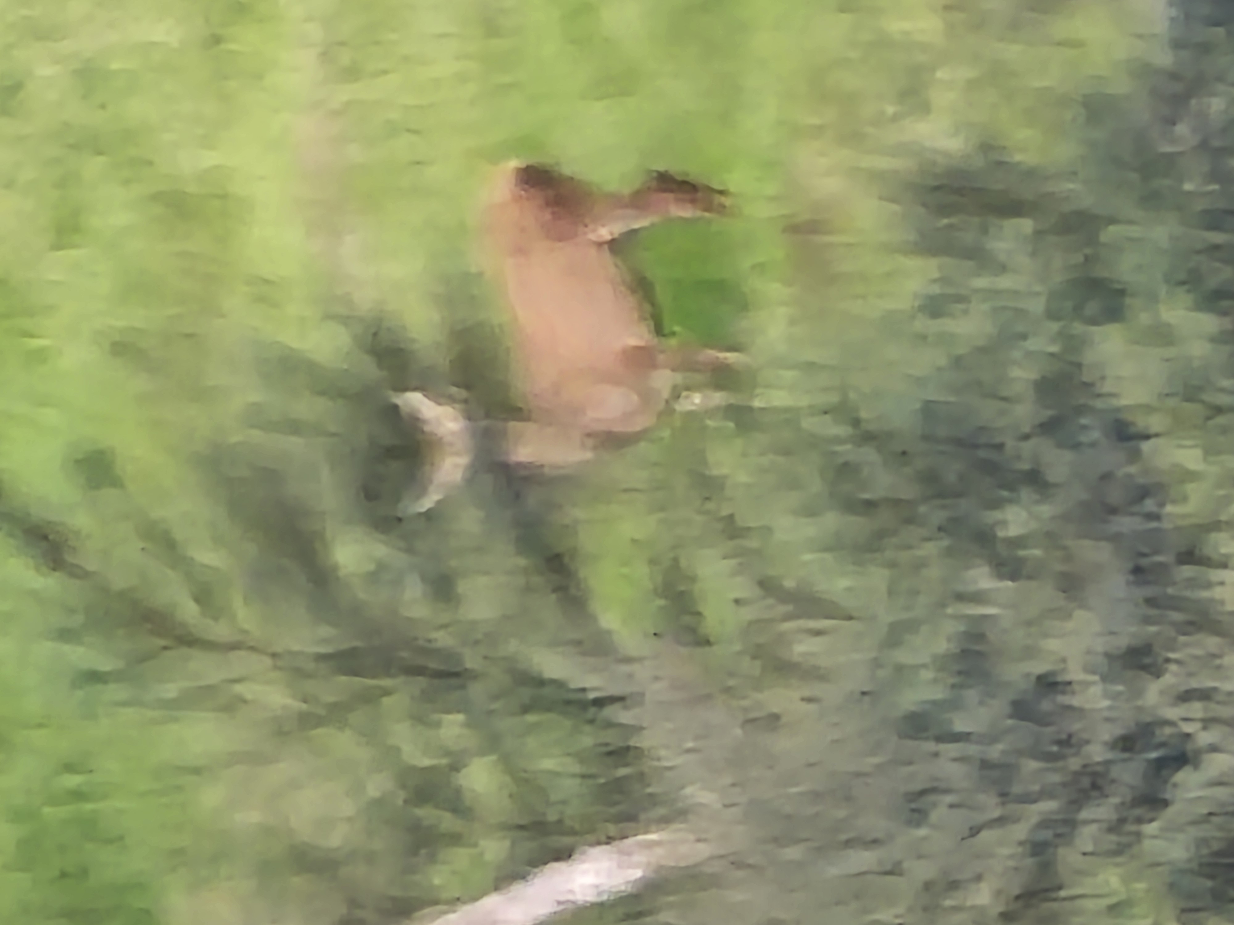 20250601_160709.jpg