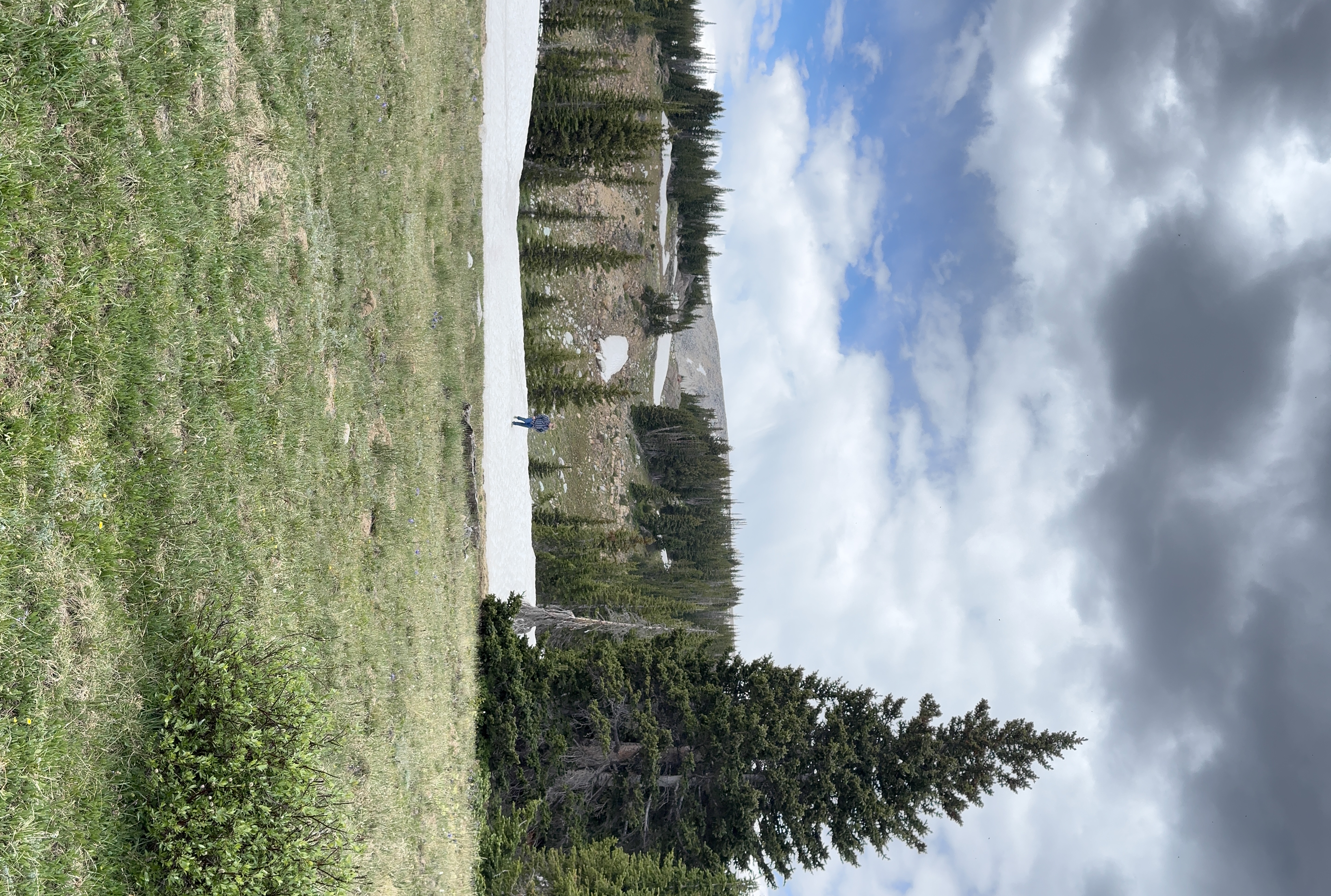 IMG_6419.jpeg