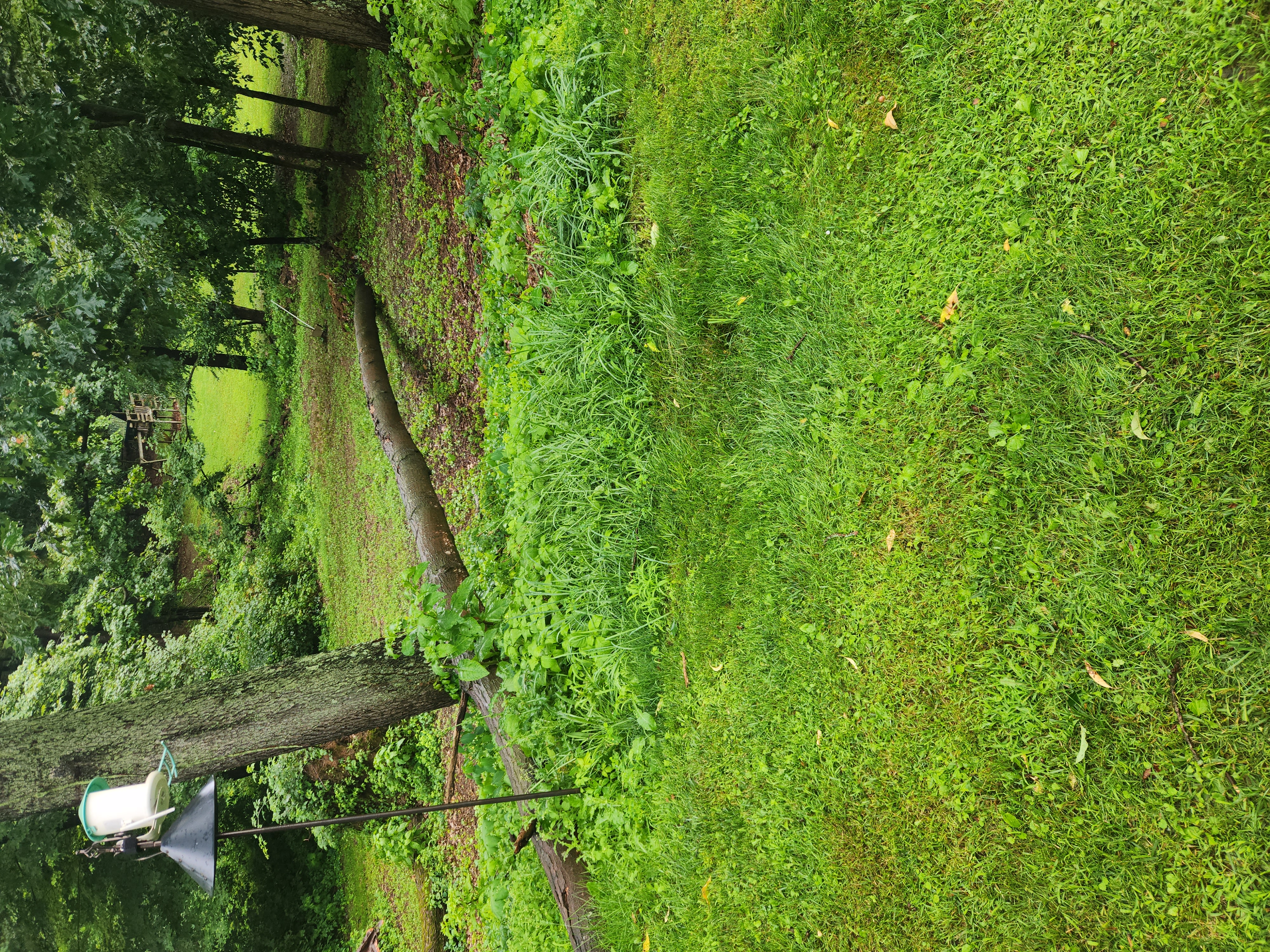 20250630_171944.jpg