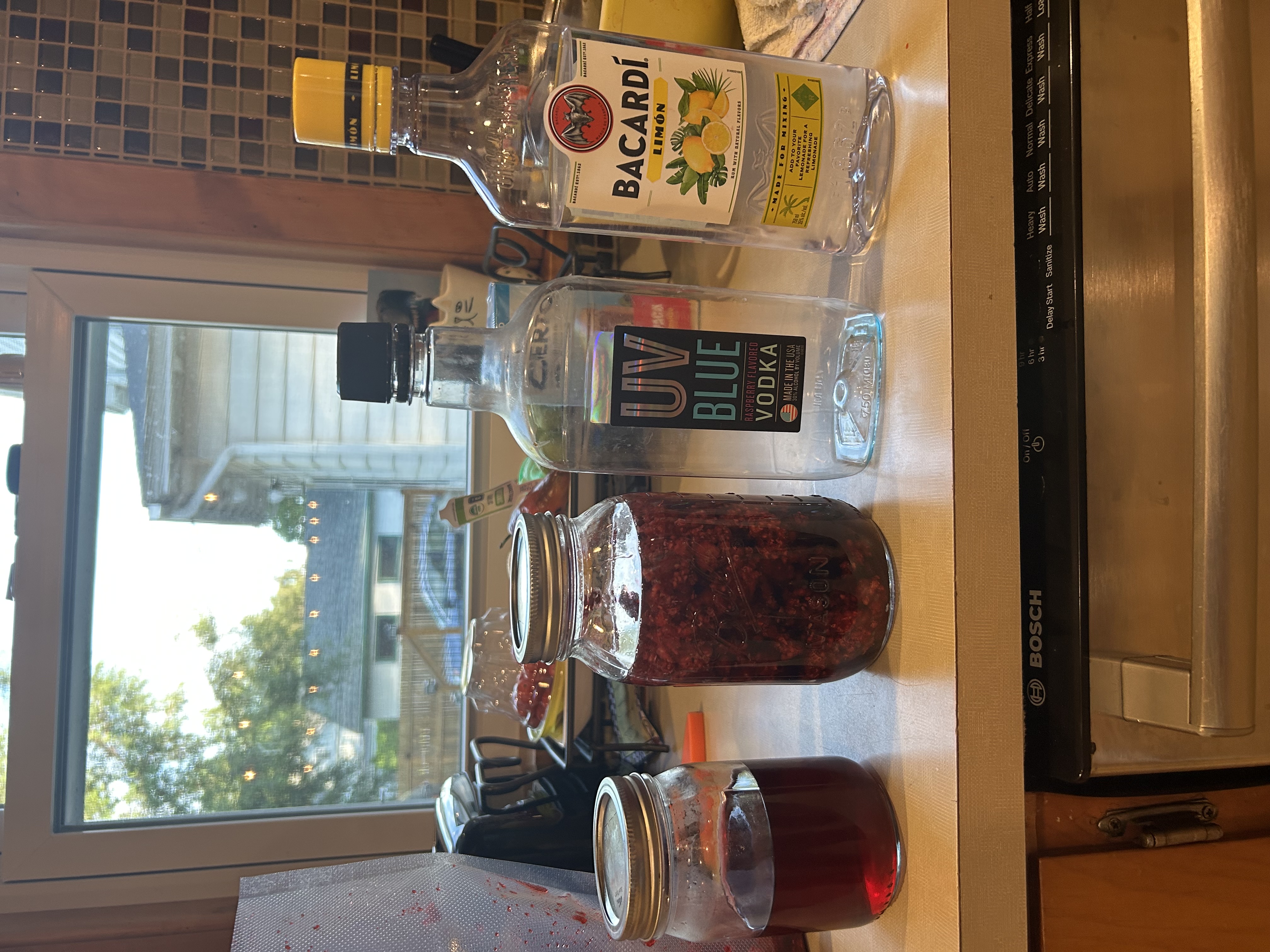 IMG_5246.jpeg