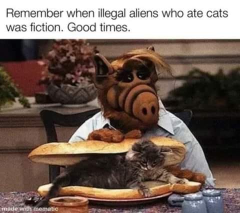 ALF.jpg