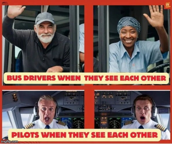 bus.jpg