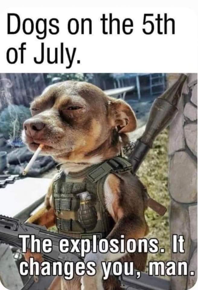FB_IMG_1688517206985.jpg