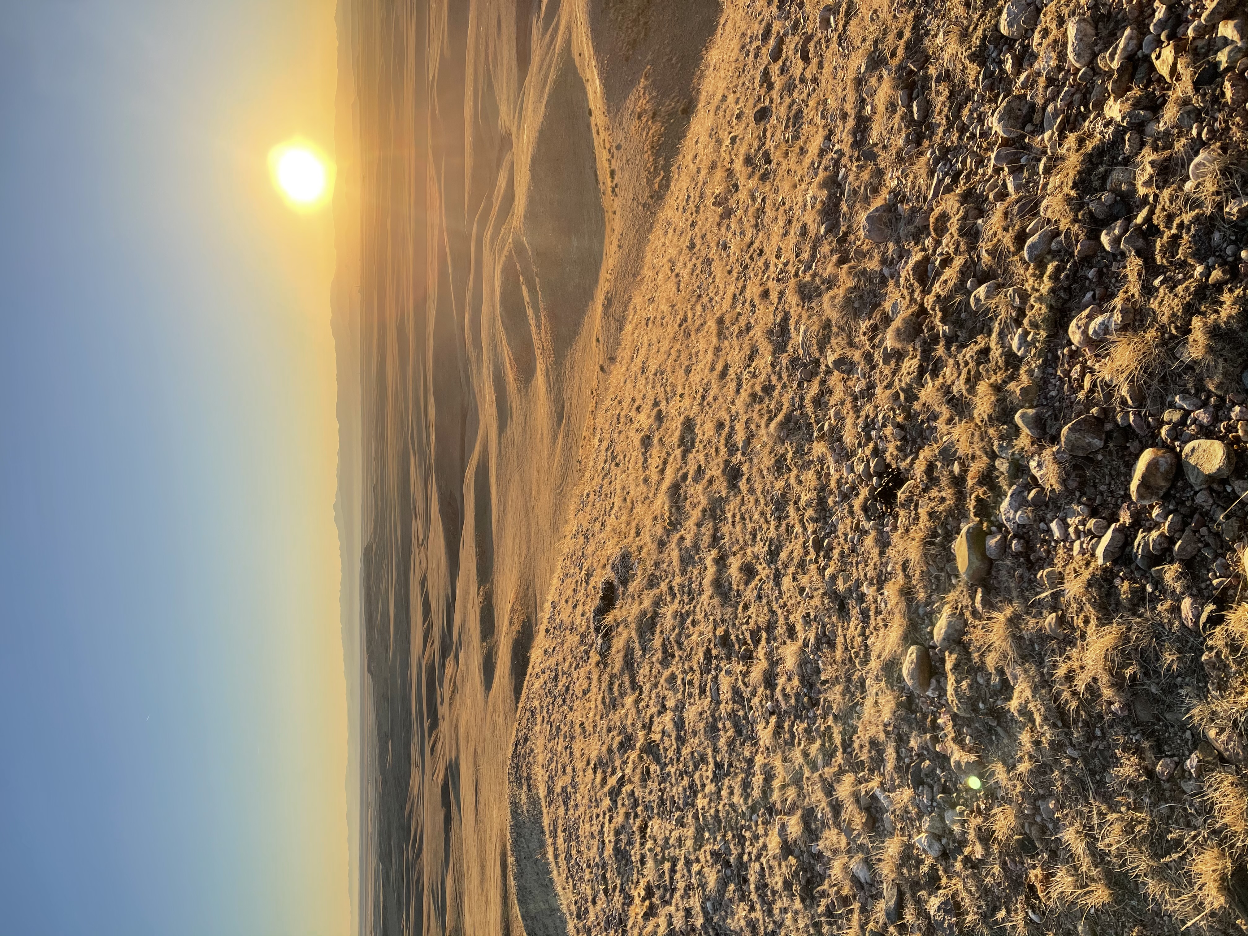 IMG_5498.jpeg