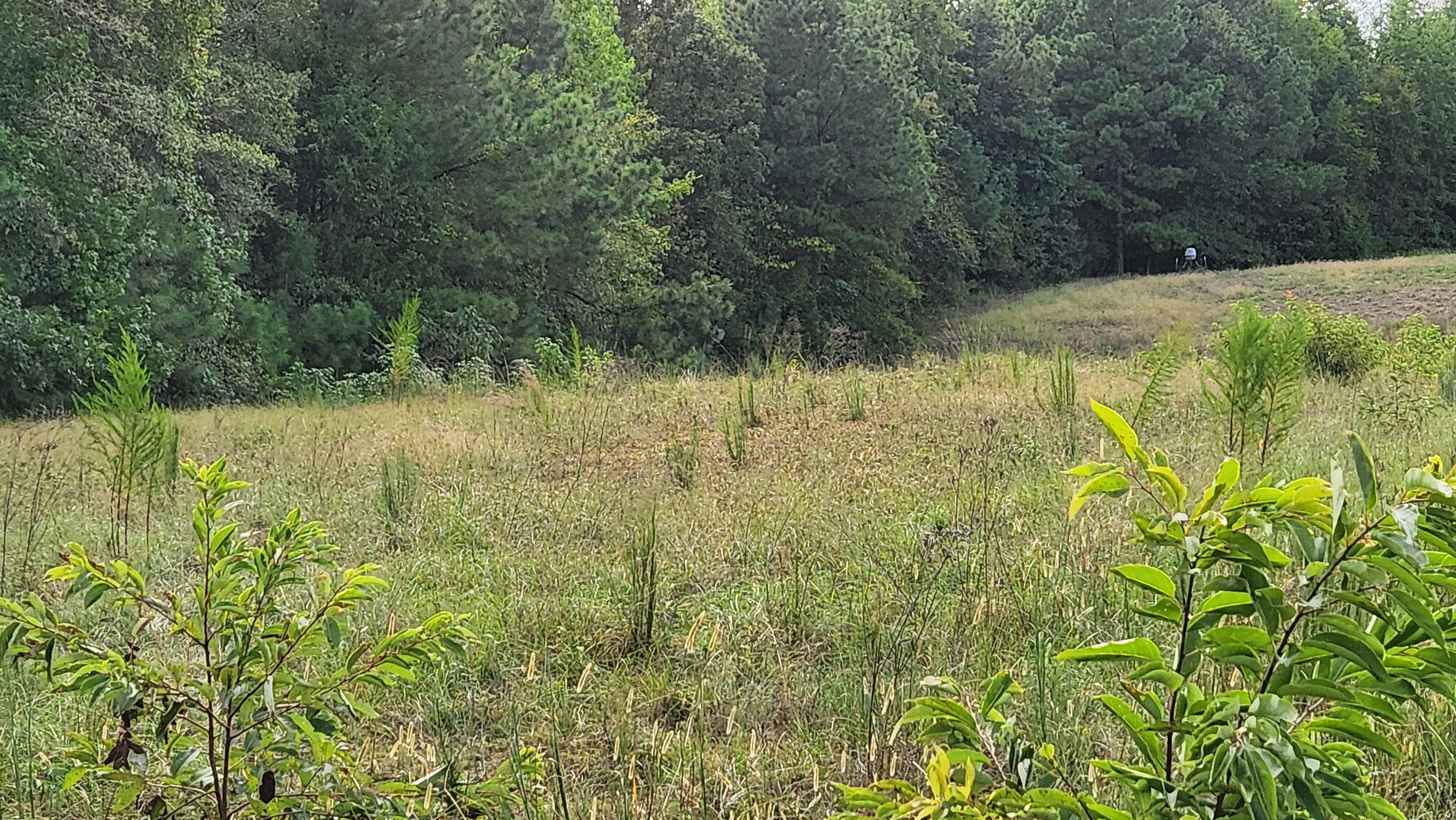 20250827_160802.jpg