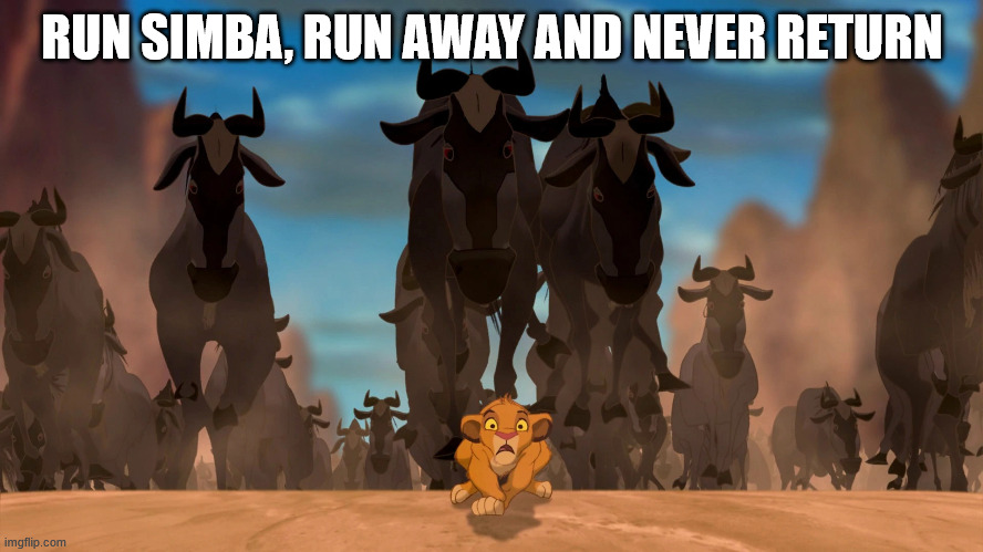 runsimba.jpg