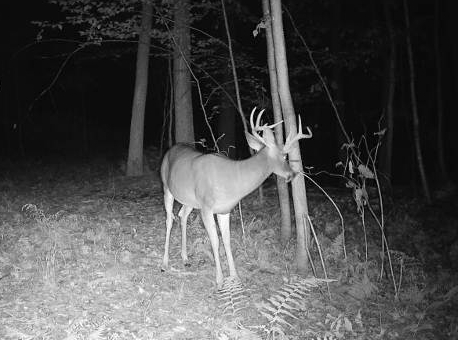 7 point L 3 x 2.jpg