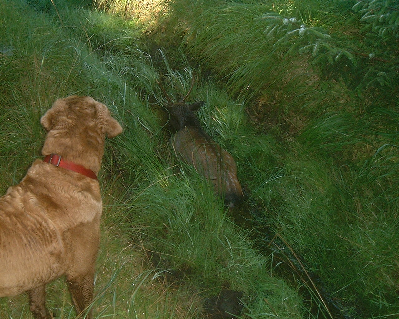 Picture File. 025.jpg