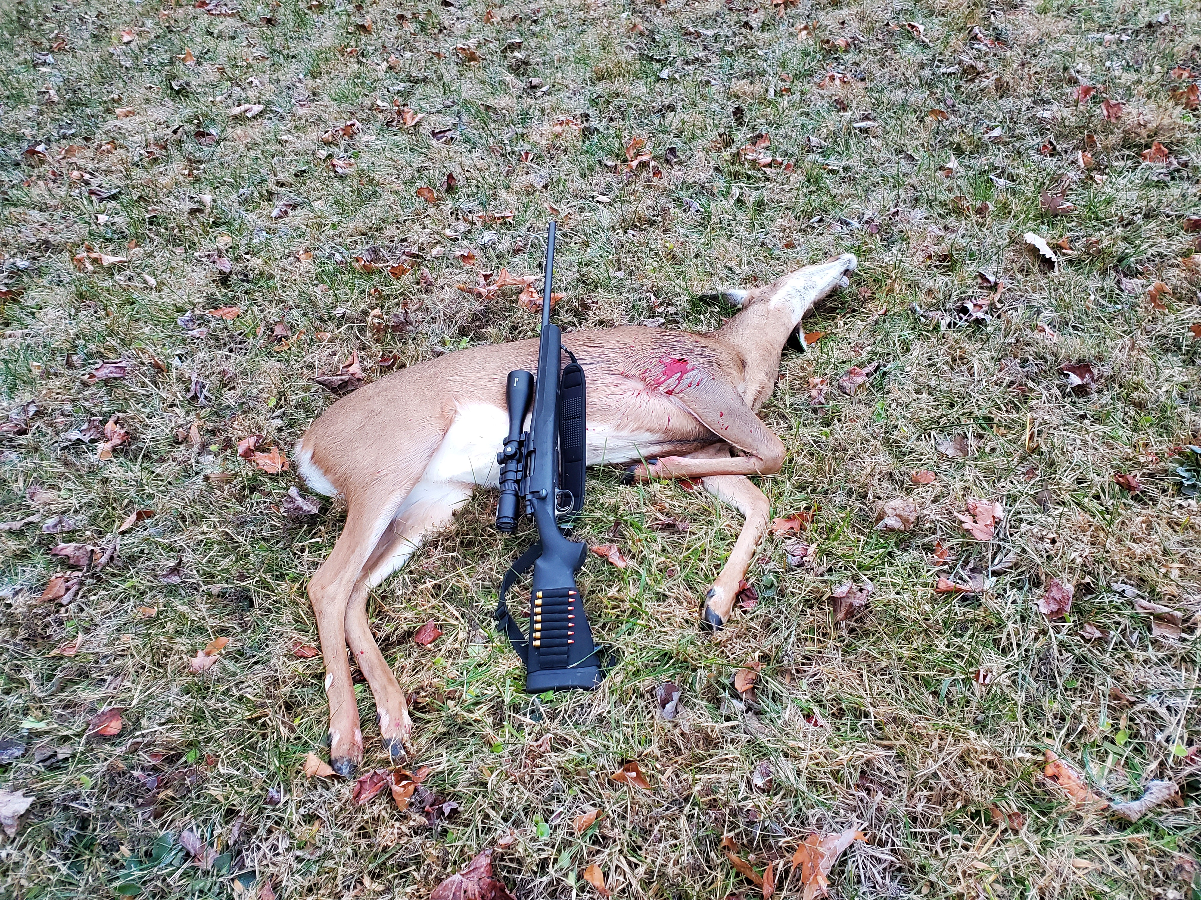 Kill