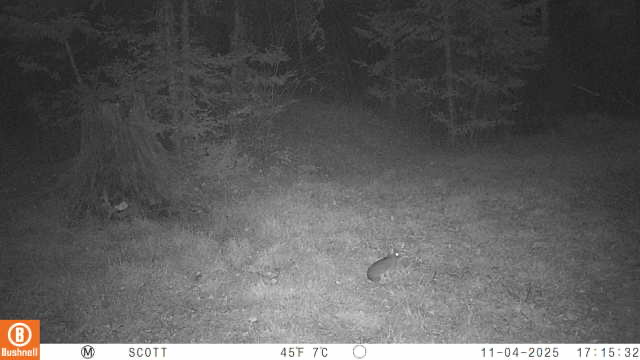 IMG_0021.jpeg