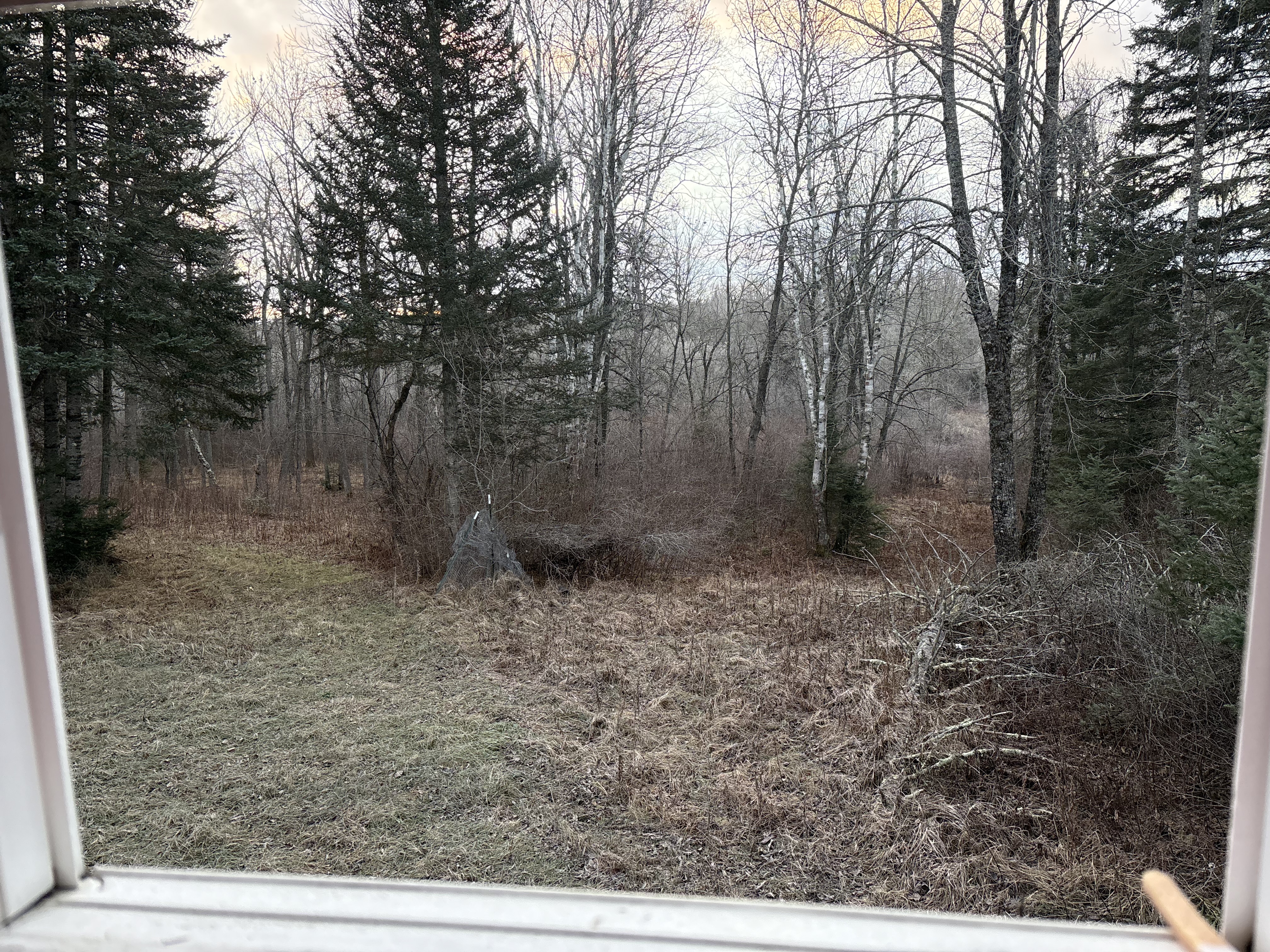 IMG_0029.jpeg