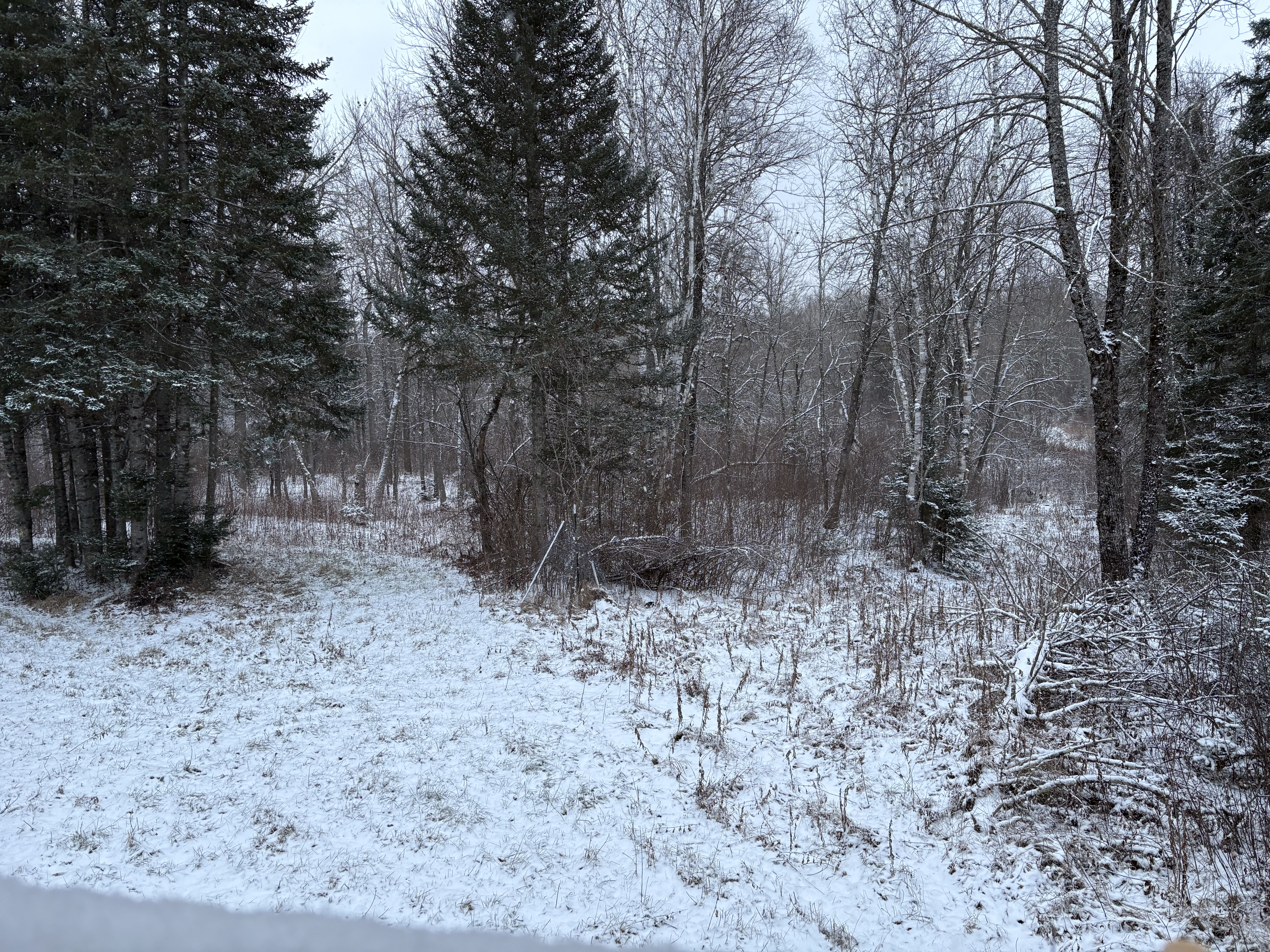 IMG_0032.jpeg