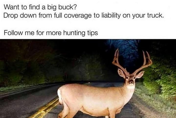 2235540201885342193.jpeg