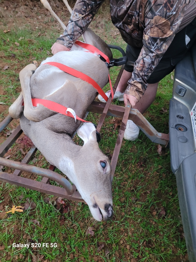 Resized_20251122_164716.jpeg