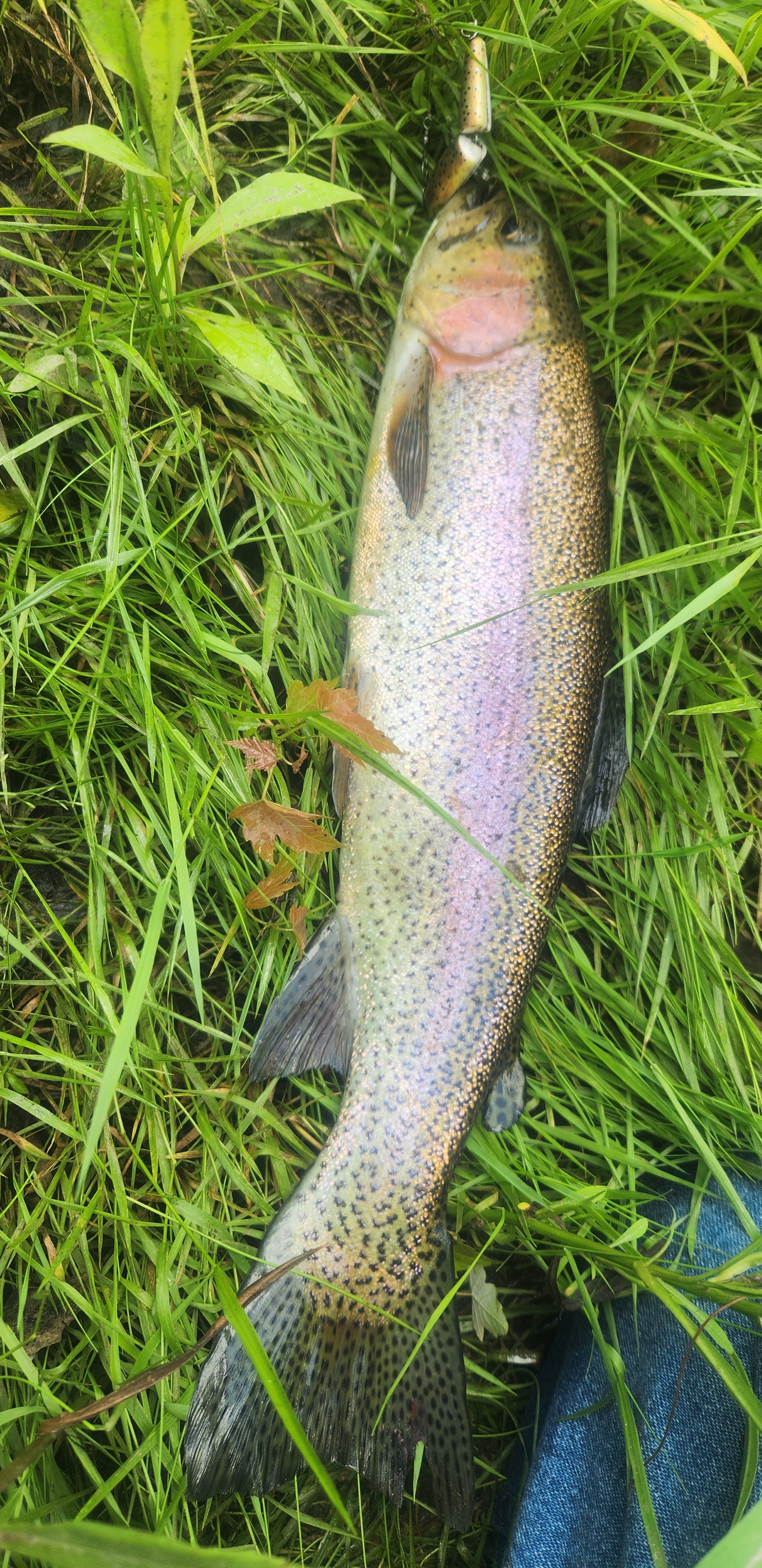 20230708_111555.jpg