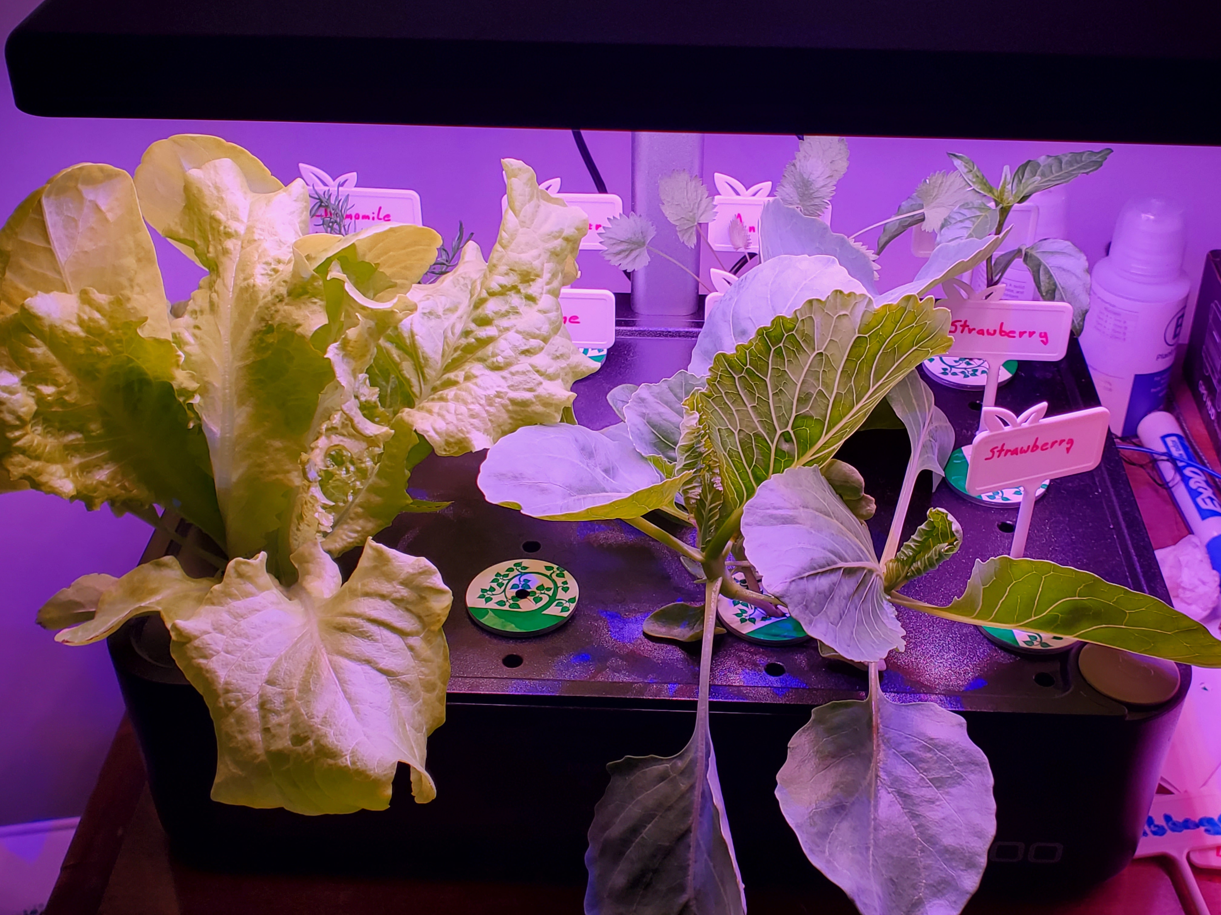 20230708_141722.jpg