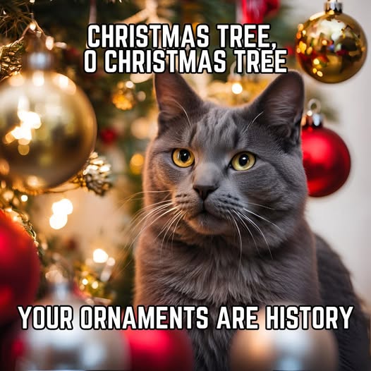 Ornaments.jpg
