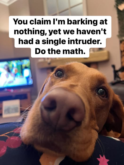 Barking.jpg