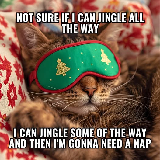 jingle nap.jpg