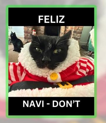 Feliz Navi-Don't.jpeg